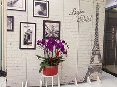 -泰康拜博口腔(世博园乐尔店)