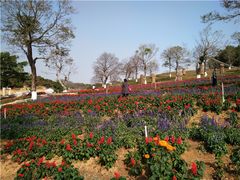 -松山湖南湖湾露营营地