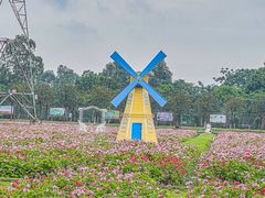 -盈香心动乐园