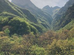 -白草畔自然风景区