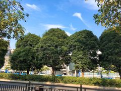 -宝能国际体育演艺中心