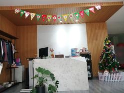 -榕树上·瑜伽普拉提