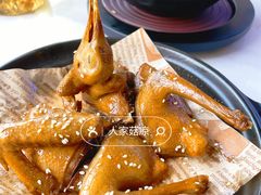 -鸽小宝(深圳首店)