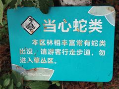 -野狸岛