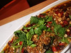 -杨氏青龙虾·羊蝎子(托乐嘉店)