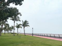 -野狸岛