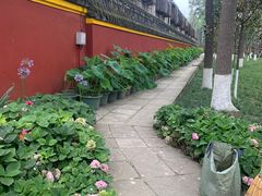 -宝光寺