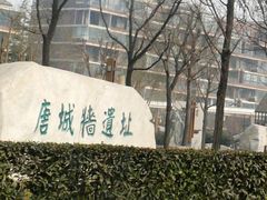 -唐城墙遗址公园