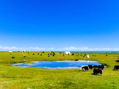 -青海湖国家重点风景名胜区