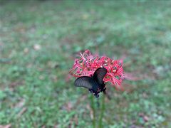 -幕燕滨江·长江观音景区