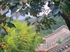 -潭柘寺景区