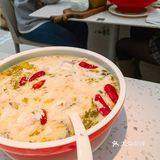 大树 | 为了它的美貌来吃它🌳好拍网红店