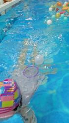 -趣游baby swim婴童游泳·盐氧护(旭辉u天地店)