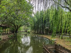 -溱湖国家湿地公园