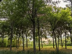 -天津东丽湖风景区