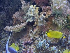 -成都浩海立方海洋公园