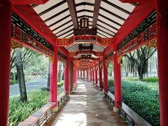 -顺峰山公园