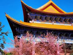 -崇圣寺三塔文化旅游区