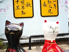 -猫咪博物馆(顶澳仔猫街店)