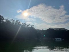 -广州市流溪河国家森林公园