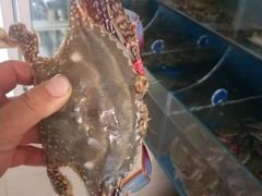 -宾朋海鲜特色美食餐厅·纯手工鲅鱼水饺(兴海路店)