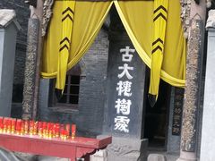 -大槐树寻根祭祖园