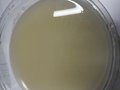-牛三哥洛阳牛肉汤(生态城店)
