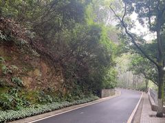 -广州市白云山风景名胜区