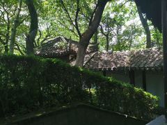 -上海佘山国家森林公园天马山园