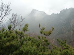 -王顺山国家森林公园