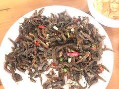 -黄牛肉馆·皖南土菜