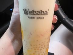 -娃哈哈奶茶(富阳鹿山时代店)