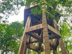 -溪口-滕头旅游景区