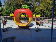 -朝阳公园游乐园