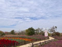 -泗洪洪泽湖湿地景区