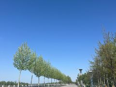 -伊犁河风景区