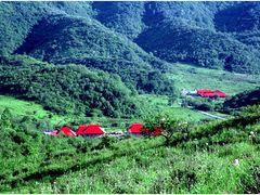 -梦幻奥陶纪景区