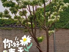 -国家植物园南园