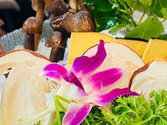 -喜聚薈·花膠雞海鮮火鍋(越秀店)
