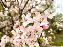 -桤木河湿地公园