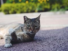 -苏州河梦清园环保主题公园