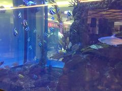 -碧桂园凤凰城酒店(南京店)