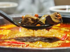 -园里火锅(仁和新城店)