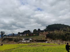 -福建土楼（华安）旅游区•大地土楼群