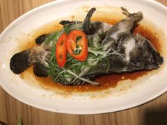 东星斑-客味谣(天安云谷店)