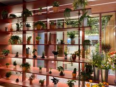 -二酉书店TOYOU BOOKS