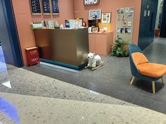 -海马体照相馆(重庆爱琴海购物公园店)
