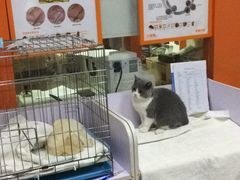 -惠康宠物医院(华能路店)