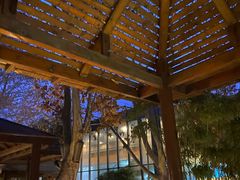 -春晖园度假酒店温泉