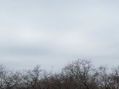 -天适樱花悠乐园